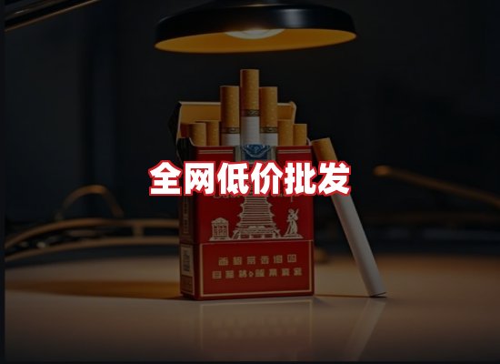 专业团队